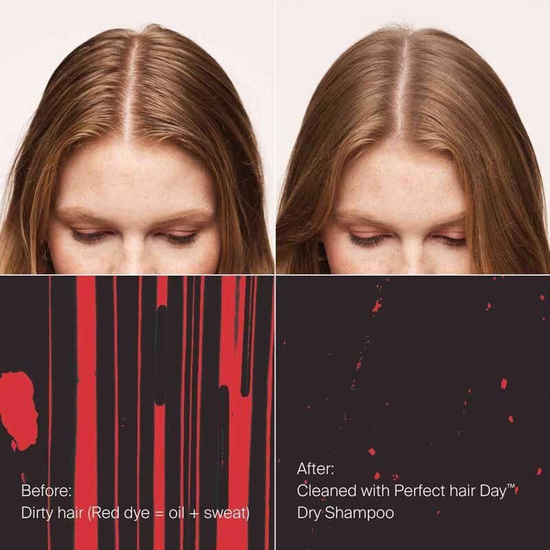 Living Proof Hydrated Hair Essentials Kit - Includes Travel Size Perfect hair Day Shampoo, Conditioner, 5-in-1 Styling and Dry Shampoo ($74 value)