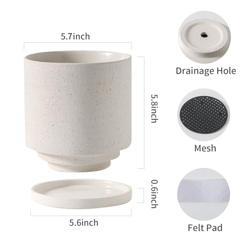 Ceramic Plant Pot with Resin Climbing Tortoise Figure