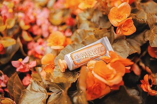 Marvis Ginger Mint Toothpaste