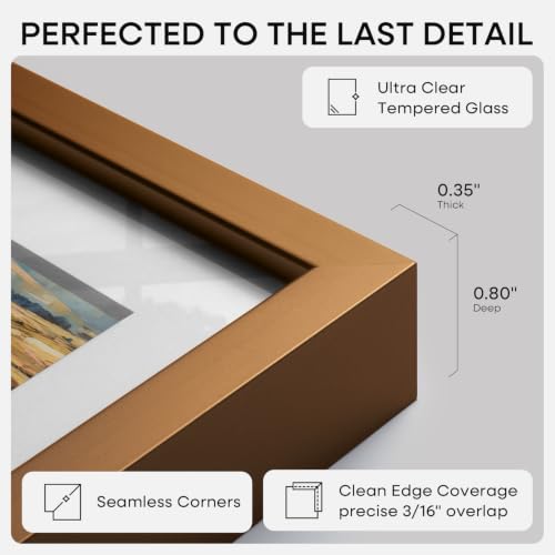 8x24 Bronze Panoramic Picture Frame