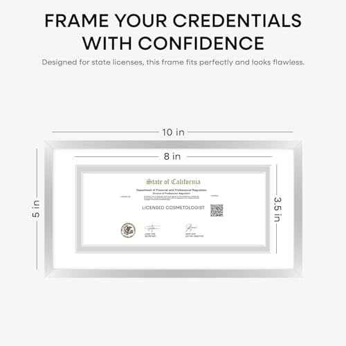 5x10 Silver License Frame (2 Count)