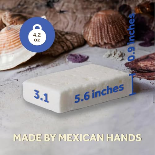 T.Taio Esponjabon Mother of Pearl and Charcoal Soap Sponges — Shower Scrubbers That Remove Oil and Dirt — Sponges to Scrub Foot, Elbow and Face — Bathroom Accessories — Fresh Scent (2-Pack)