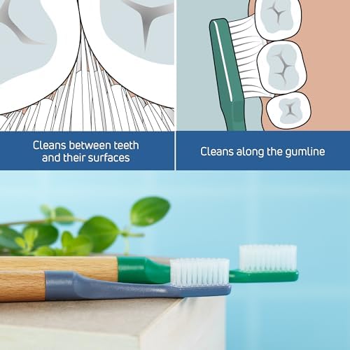 TePe Choice Soft Dental Toothbrush for Teeth Cleaning With 3 Replaceable Heads, Green
