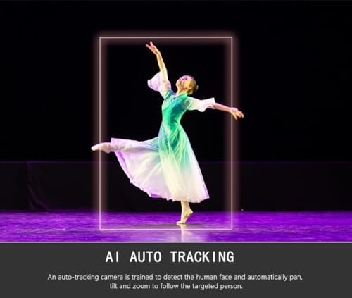 AI Auto Tracking PTZ Camera, 20X Zoom Live Streaming HDMI SDI PTZ Camera for Church Worship and Live Event, LV20, Not NDI