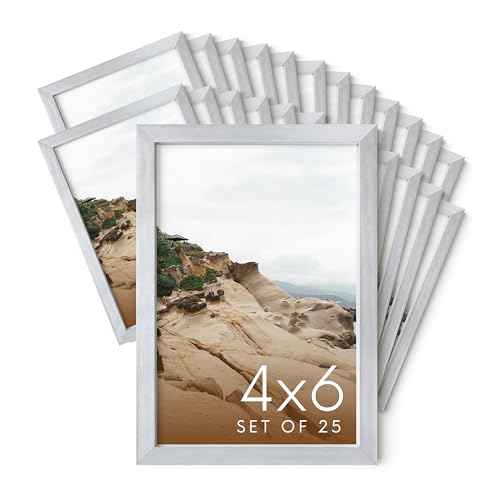 4x6 Silver Metal Picture Frames