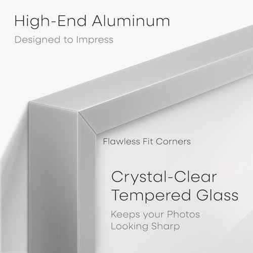 5x10 Silver License Frame (2 Count)