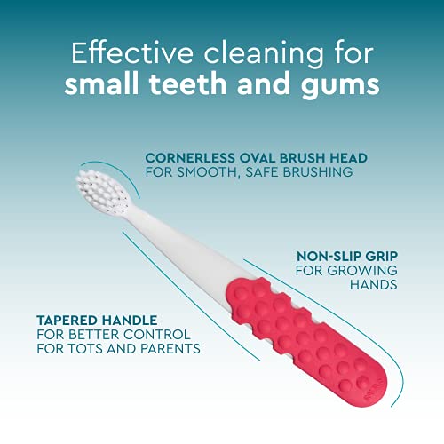 RADIUS Children's Toothbrush, Totz Plus Brush, Extra Soft Bristles, White/Green/Lightblue, BPA Free & ADA Accepted, for Delicate Teeth & Gums for Children 3 Years & Up, Pack of 3