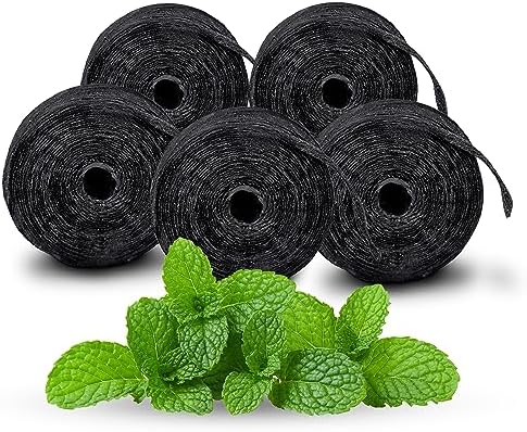 Xlent Expandable Dental Floss Treated with Activated Charcoal, Xylitol, Natural Plant Based Wax, Refreshing Mint Flavor - Pack of 5 (Refills Only)