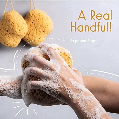 myHomeBody Bath Sponge, Foam Loofah, Body Scrubber for Bathing, Exfoliating Shower Pouf for Shower – Large Size, Lots of Lather, Curvy, 3 Pack