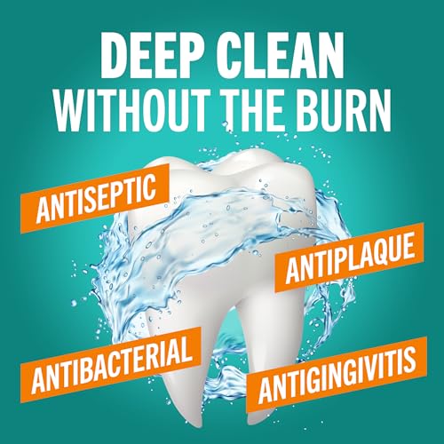 TheraBreath Deep Clean Mouthwash, Antiseptic Benefits, Fresh Mint Flavor, Dentist Formulated, Alcohol Free, 16 fl oz (Pack of 2)