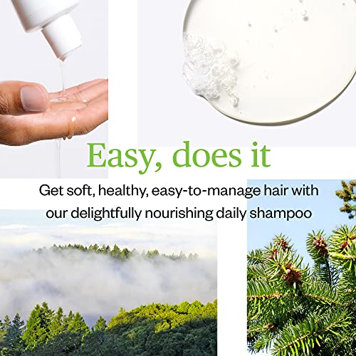 Ursa Major Natural Shampoo | Sulfate-Free, Vegan, Cruelty-Free, Non-toxic | Formulated for Men & Women and All Hair Types | 8 ounces