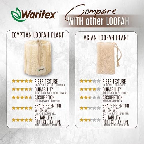 Premium Natural Egyptian Loofah Sponges, Made from 100% Natural Organic Material, Gentle Skin Exfoliation, and Full-Body Spa Experience – Eco-Friendly Loofah 2 Count (1 Pack)