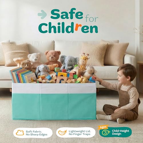 Extra Large Toy Storage Organizer with Lid
