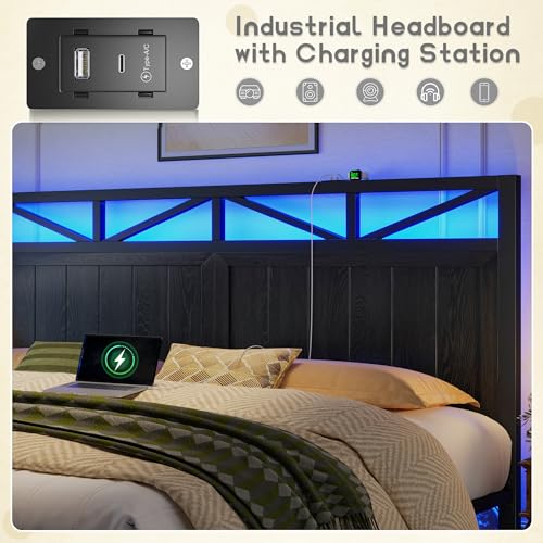 Homkdom Queen Bed Frame with 2 Storage and LED Lights, Bed Frame Queen Size with Headboard Built in Charging Station,Noise-Free,Easy Assembly, No Box Spring Needed, Black