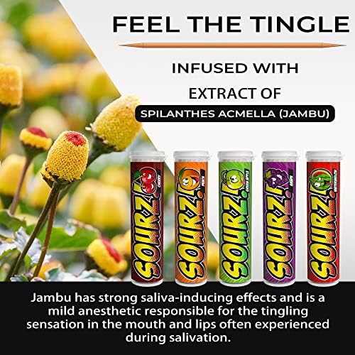 Xero Picks - Sourz Infused Flavored Toothpicks- Sugar Free- Sour Apple, Sour Grape, Sour Cherry, Sour Watermelon, Sour Peach - 5 Pack - 20 Picks per