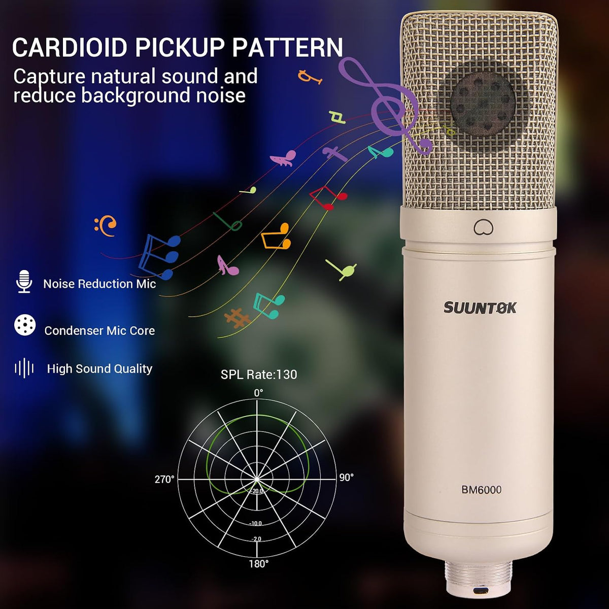 SUUNTOK Condenser Microphone XLR, Large Diaphgram Professional Recording Cardioid Microphone Kit with Shock Mount, for Studio, Live Streaming, Podcas (Silver)