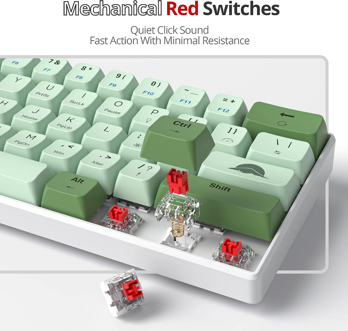 60% Mechanical Keyboard - Compact Gaming Keyboard with RGB Backlit, 61 Green Switch Keys, USB Wired for Windows Mac Laptop PC