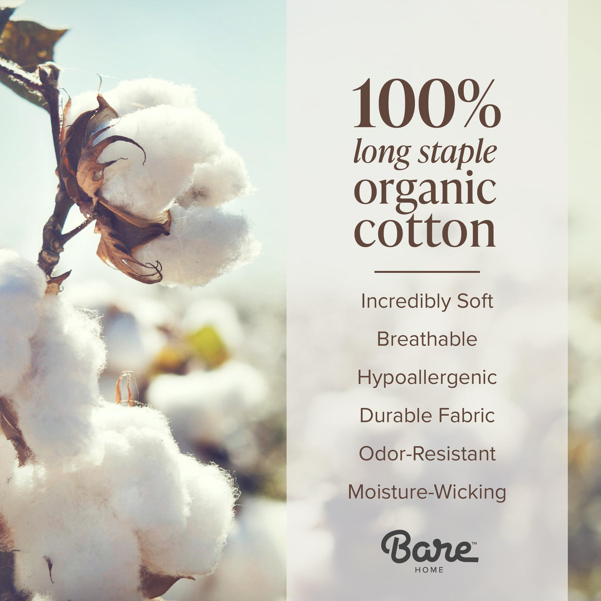 Bare Home 100% Organic Cotton Split King Sheet Set - Crisp Percale Weave - Lightweight & Breathable - Bedding Sheets & Pillowcases (Split King, White)