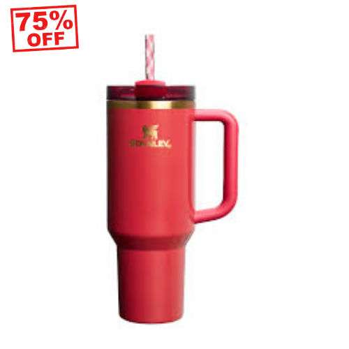 Stanley Quencher H2.0 FlowState™ Tumbler.  E